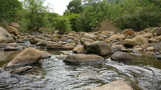 Puliancholai Waterfalls Kolli Hills Trichy